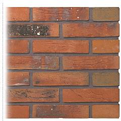 Gevelsteen | Handvorm | Oranje Bont gesinterd | Waalformaat