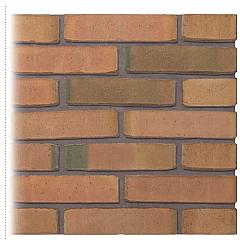 Gevelsteen | Vormbak Wasserstrich | Vecht (Naturel Bont) | Waalformaat