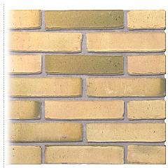 Gevelsteen | Vormbak Wasserstrich | IJ (Geel Bont) | Waalformaat