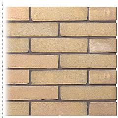 Gevelsteen | Vormbak | Geel Bont | Waalformaat