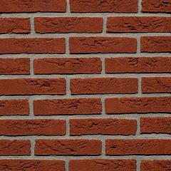 Dommelrood | Waal Formaat | Handvorm | Steenstrips | 210 x 100 x 50