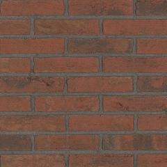 Friston Red | Waal Formaat | Handvorm | Steenstrips | 18 mm