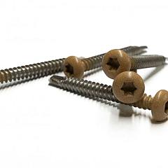 RVS schroef met gekleurde top voor NTW Castellation PRO, set a 50 stuks incl bit, Red Cedar