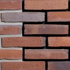 WF Tighel-Brik | Chiara