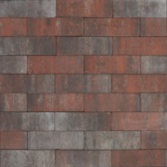 Tremico Dikformaat (DF) Twents Bont 6cm