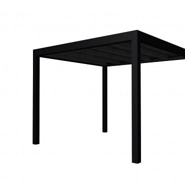 Buitenverblijf plat dak Allure I, douglas, basismodel L/C, 303x303 cm, zwart geïmpregneerd.