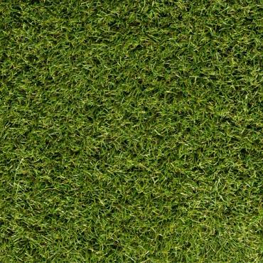 Sense 45 / 4m1 breed