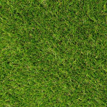 Selva 35 - Liverpool