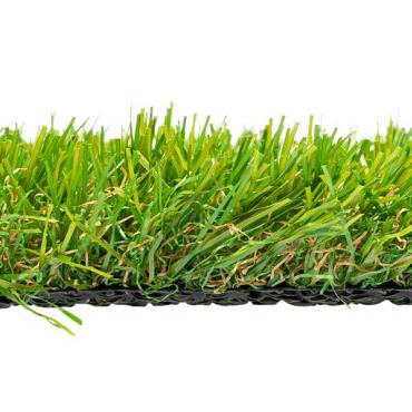 Selva 35 - Liverpool