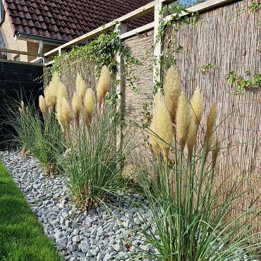 Ardenner brokjes grijs 20-32 mm (20 kg zak)