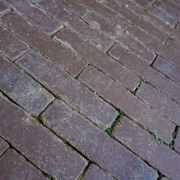 UWF 60 elena getrommeld