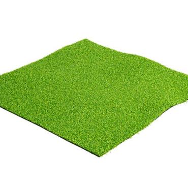 Trendy Grass Wellness