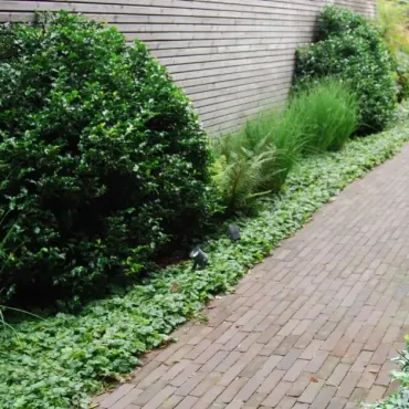 Rustiek Waalformaat UWF60 Pastorale