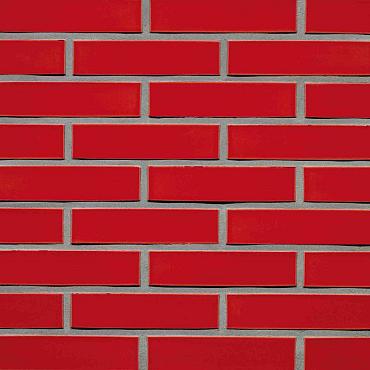 Crystal Rood | Waal Formaat Glazuur: 1x strek | Strengpers | 210 x 100 x 50