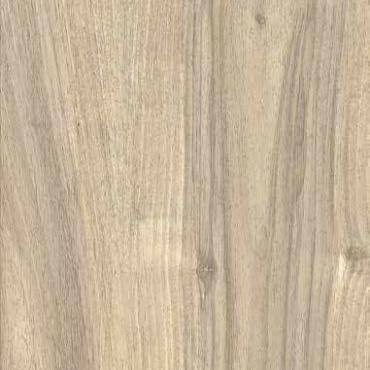 Keramische tegel | More | Miele | 40x120x2 cm