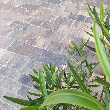 Straksteen 20x30x5 cm chelsea