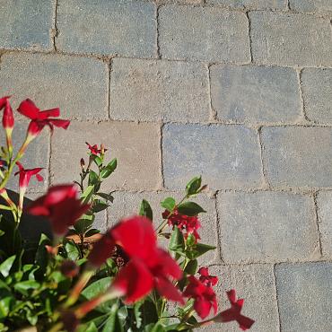 Stonique trommel 20x30x6 cm musselkalk