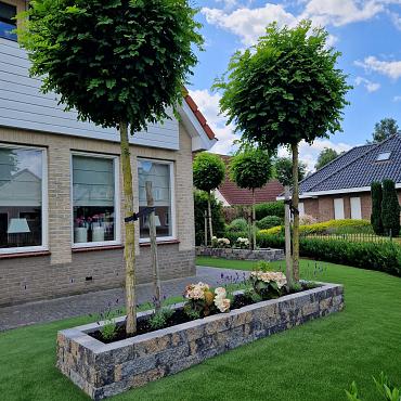 Splitrock 32x13x11 cm 2.0 musselkalk