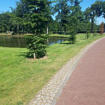 Keigrassteen 45x45x10 cm grijs