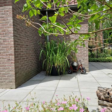 Tegel 50x50x5 cm grijs komo