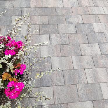 H2O comfort square 20x30x6 cm tricolore