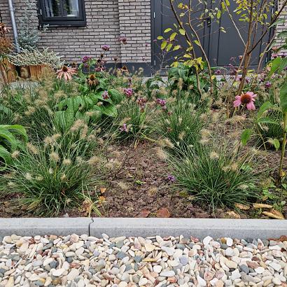 Betonband 5x15x100 grijs