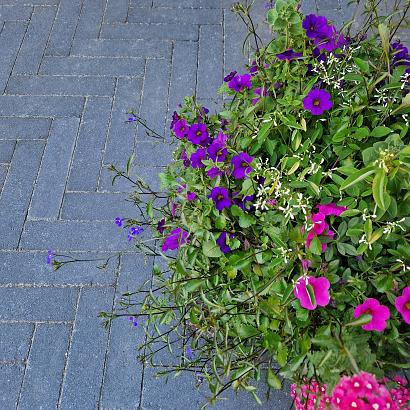 Dikformaat XL 28x7x8 cm antraciet (320 stuks per pak)
