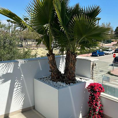 Plantenbak Vlak Wit 300x210x60 cm