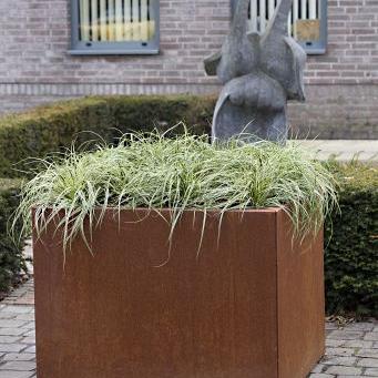 Plantenbak Vlak Corten 30x30x40 cm