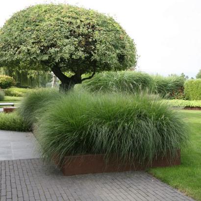 Borderpaneel flex 220x42 cm