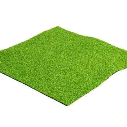 Trendy Grass Wellness