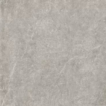 Pietra Antica Grey 100x100x2