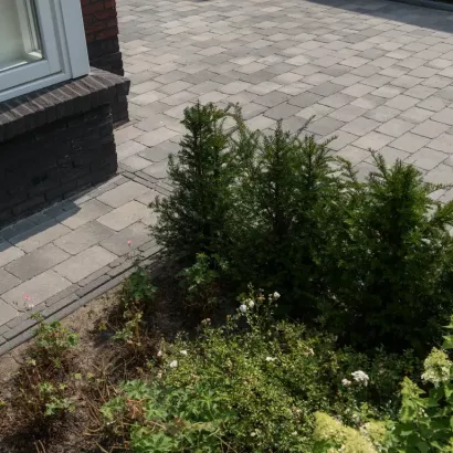 Tambour 20x30x6 smook