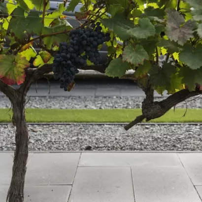 Tremico 60x30x6  Antraciet