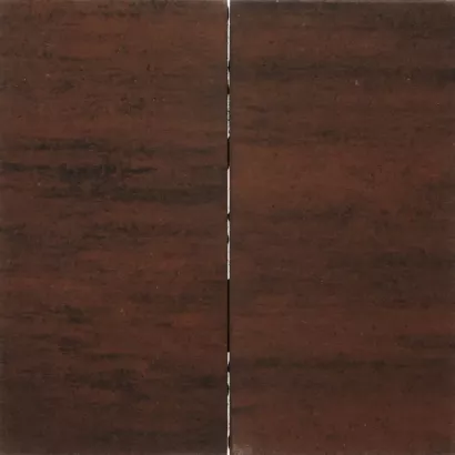 Tremico 60x30x6  Brons