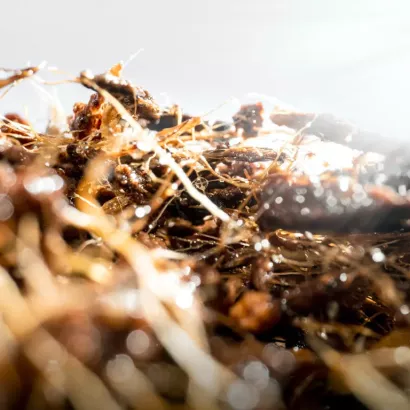 LimeGreen Limefill 21,3 kg/zak