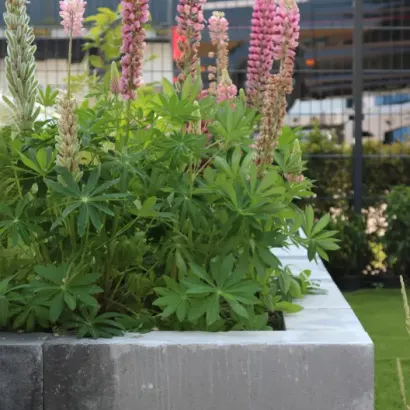 Wallblock New 12x12x60 Zeeuws Bont