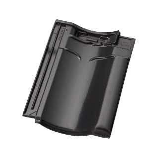 VHV Vario dakpan leizwart verglaasd