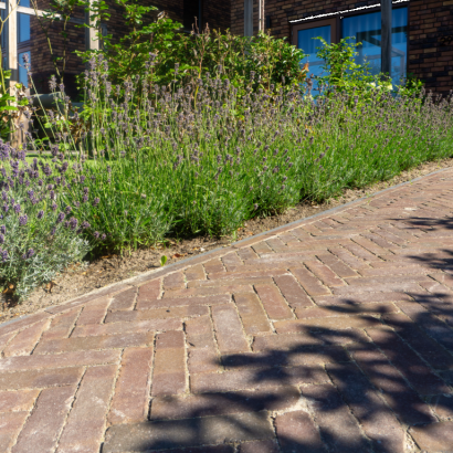 UWF 60 derby bezand getrommeld