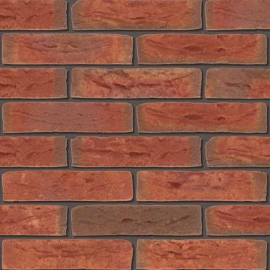 DF HV | Baccara | Exclusief Roodpaars