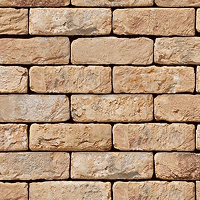 Oude Kuststeen | Handvorm | DF