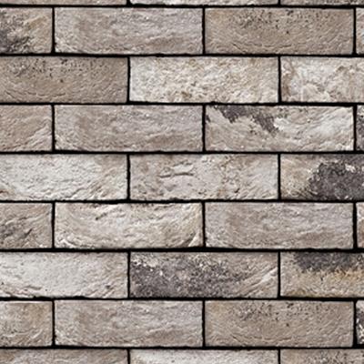 Vecto | Handvorm | DF