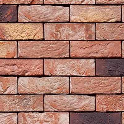 Zinnia | Handvorm | DF