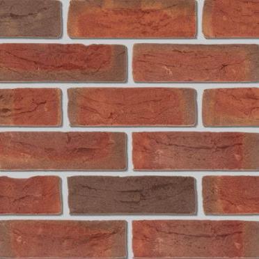 DF HV | Baccara | Exclusief Roodpaars