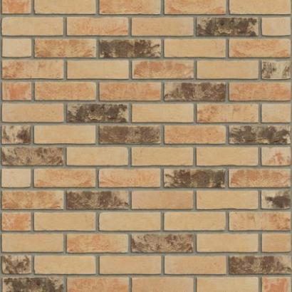 Auriga EF HV EF 215*100*65