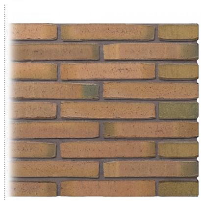 Gevelsteen | Vormbak Wasserstrich | Lucca (Naturel Bont) | Hilversums formaat