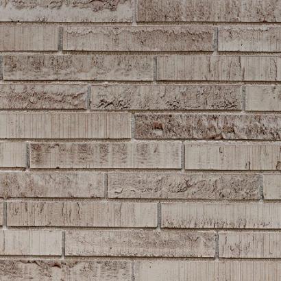 Magma Grijs | Lang Formaat 288 | Strengpers | 288 x 88 x 48