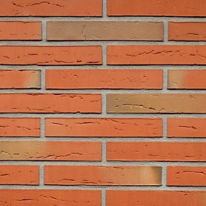 Robinia | Lang Formaat 288 | Strengpers | 288 x 88 x 48