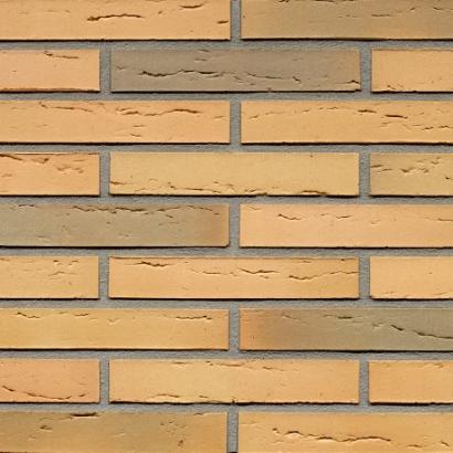 Betula | Lang Formaat 288 | Strengpers | 288 x 88 x 48
