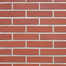 WF Rood Glad Massief